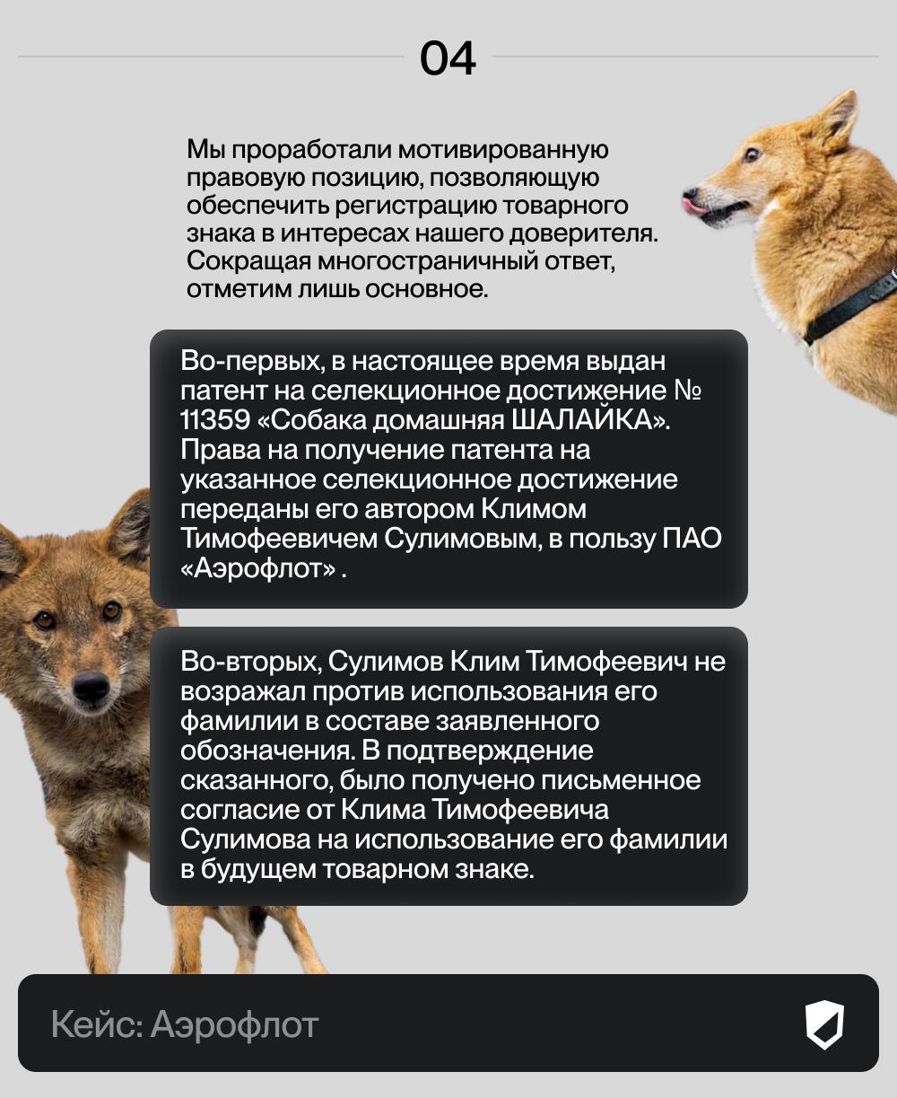 ✈️ Как мы помогли "Аэрофлоту" зарегистрировать четыре товарных знака для защиты уникальной породы собак.🦮
Очень часто мы подаем заявки на регистрацию очень необычных товарных знаков наших клиентов | Сетка — социальная сеть от hh.ru