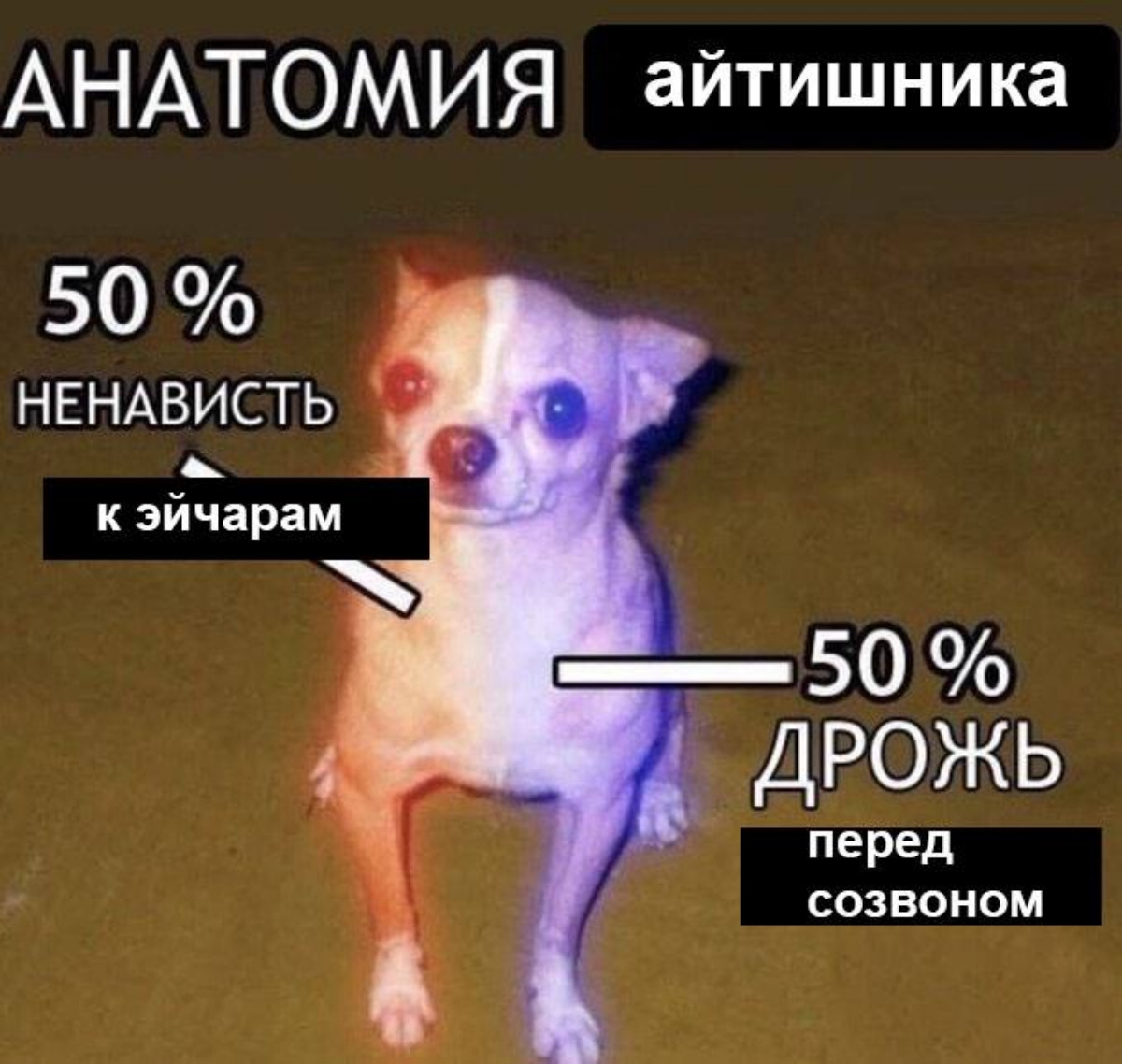 Глупости какие то, ноль дрожания | Сетка — социальная сеть от hh.ru