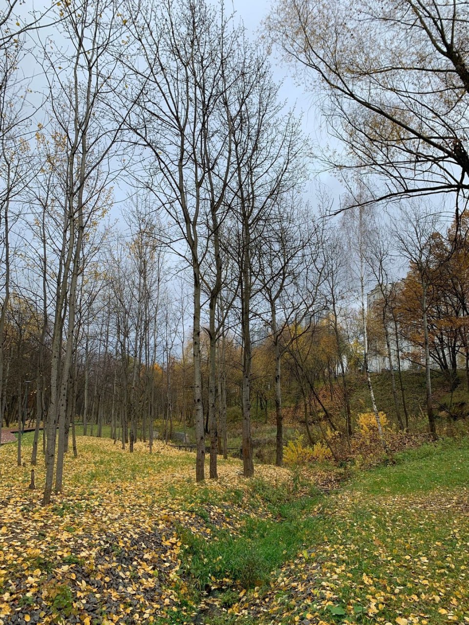 Последний день октября. Готовы встречать зимние месяцы? 🥶 | Сетка — социальная сеть от hh.ru
