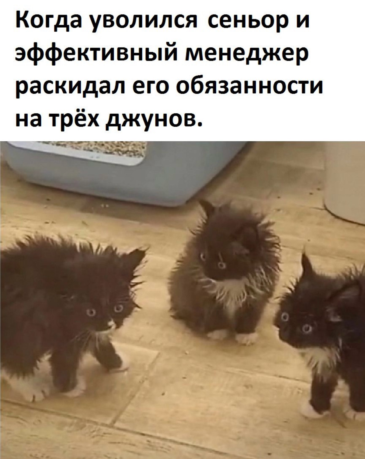 Не пов, а рил☝🏻 | Сетка — социальная сеть от hh.ru