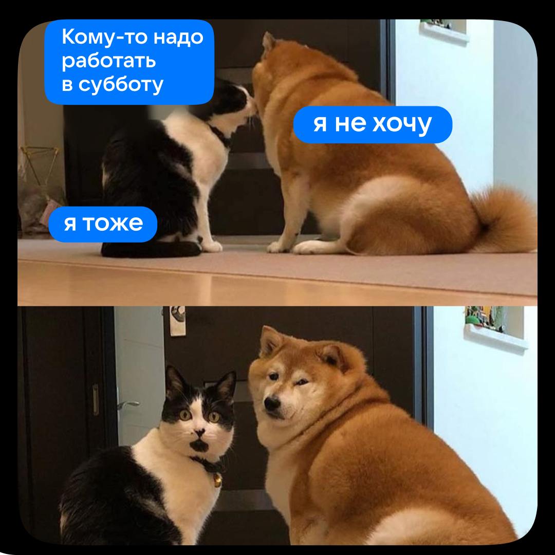 Вакансии, которые принесут радость даже в рабочую субботу!
🌟 Java-разработчик в команду единых облачных технологий, Москва
Ищем того, кто будет реализовывать новую функциональность платформы, проектир... | Сетка — социальная сеть от hh.ru