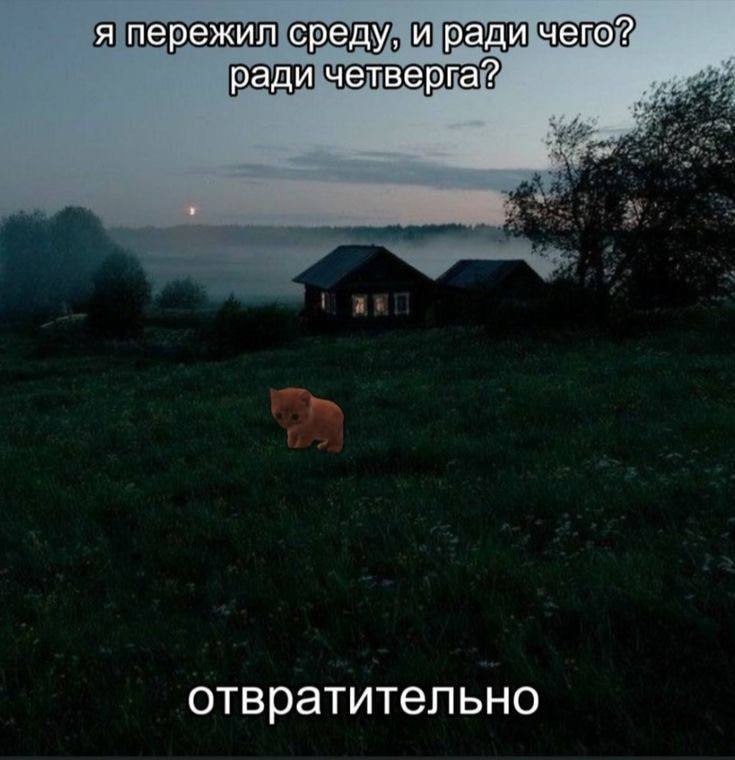 ➡️ отправь в телеге мем коллеге | Сетка — социальная сеть от hh.ru
