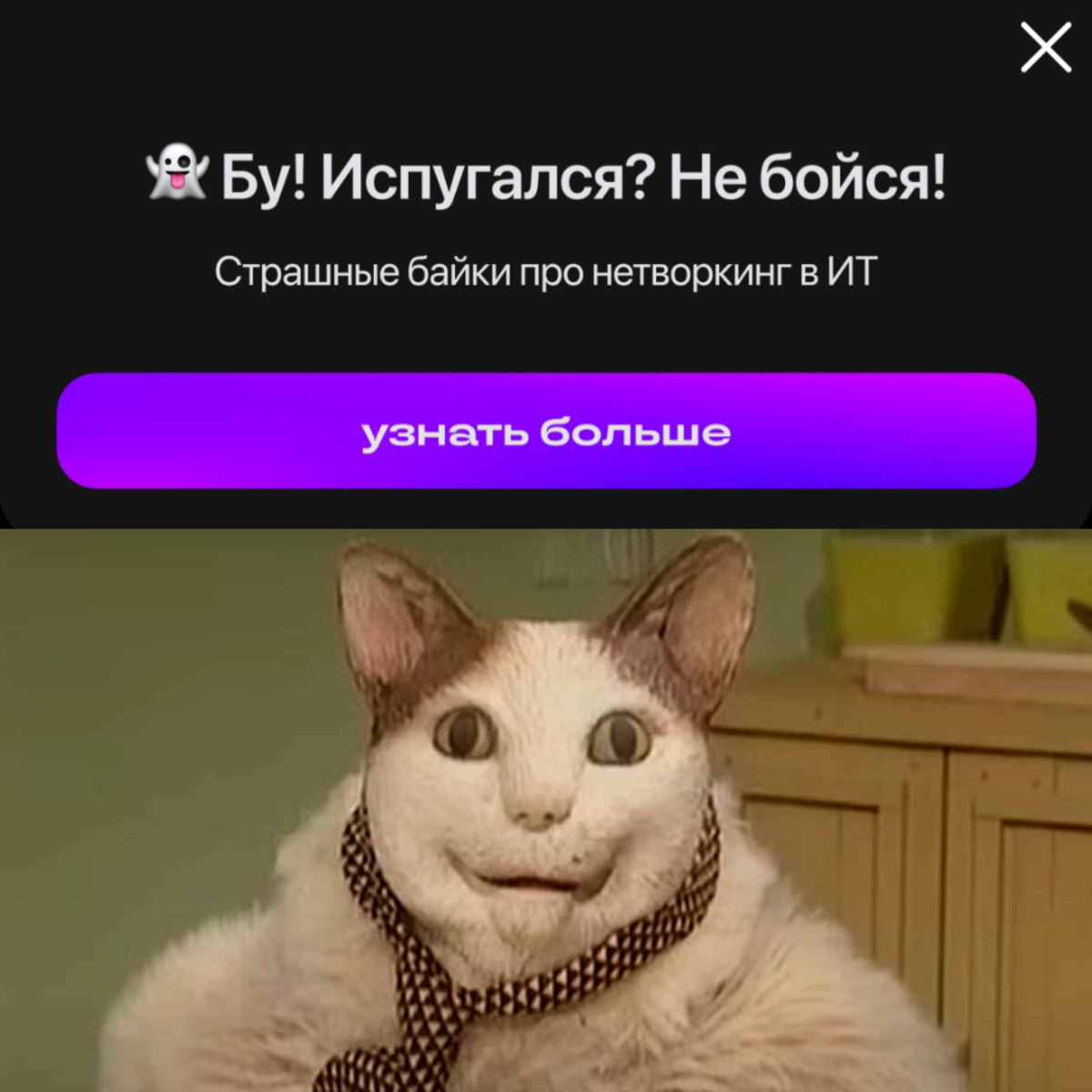 #сетка спасибо, улыбнуло 😂😂😂 | Сетка — социальная сеть от hh.ru