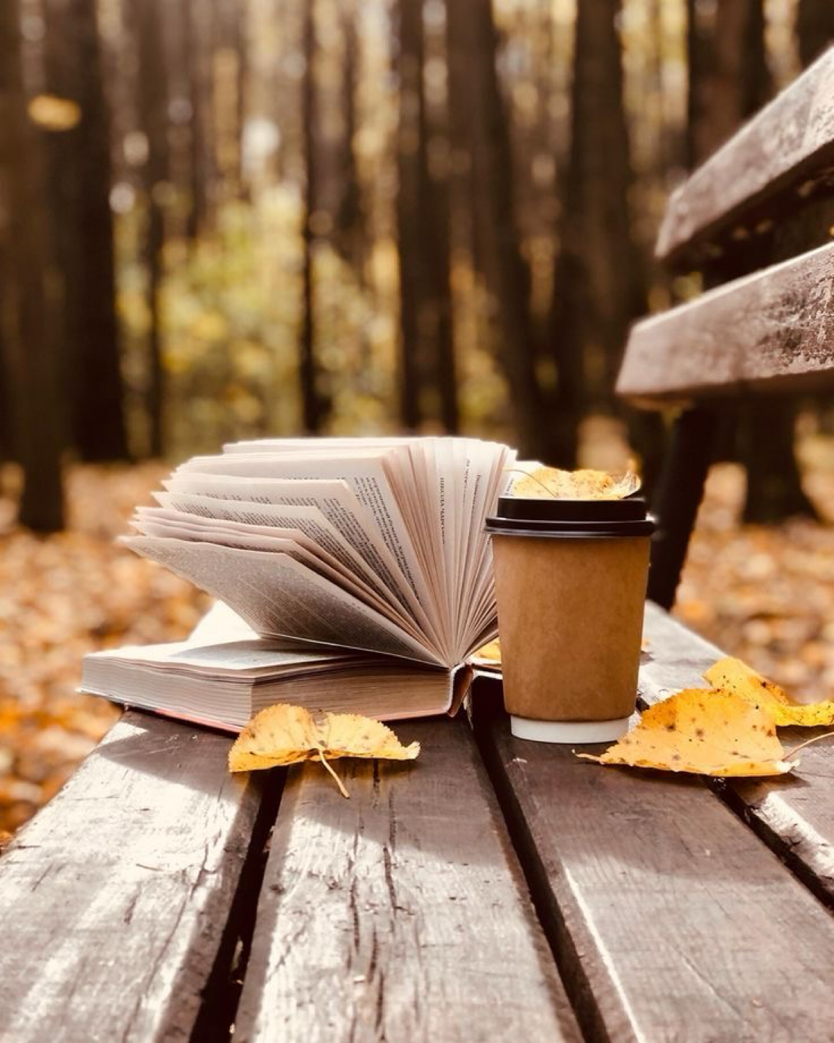 🍂 Осень – идеальное время для того, чтобы уютно устроиться с чашкой горячего чая и погрузиться в мир знаний | Сетка — социальная сеть от hh.ru