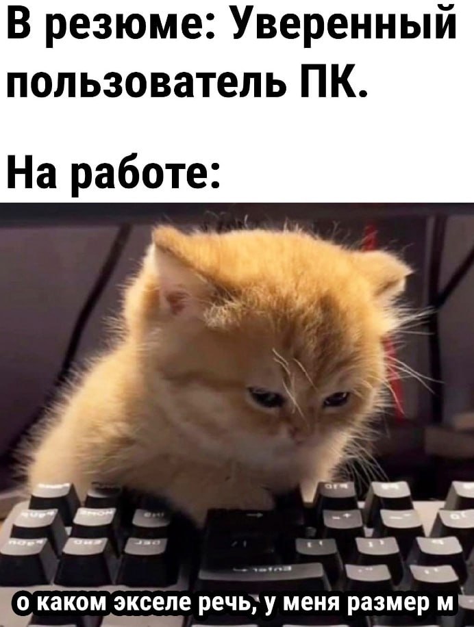 ➡️ отправь в телеге мем коллеге | Сетка — социальная сеть от hh.ru