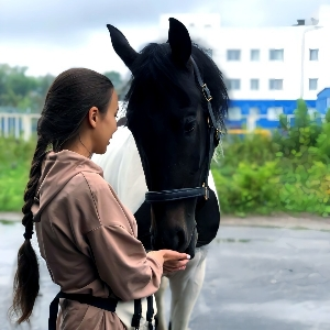 Анна Весёлая