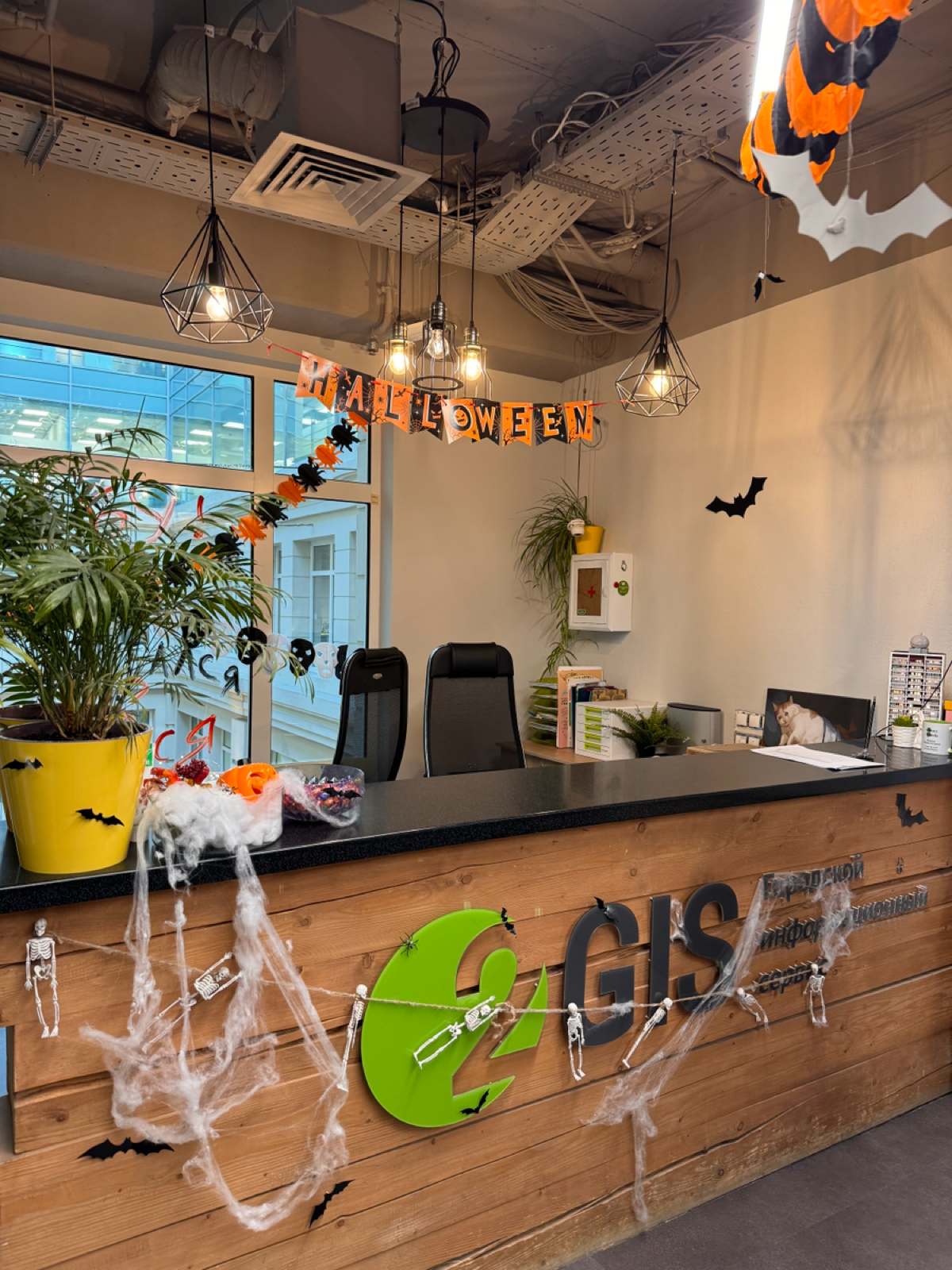 Как вы относитесь к Halloween? 🎃 | Сетка — социальная сеть от hh.ru