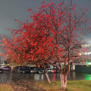 Юлия Одинцова