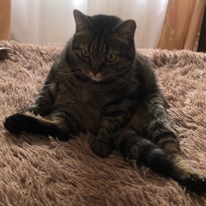 Russel Speechlessness