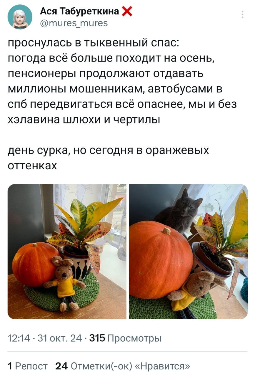 Хэллоуин отменяется! Россияне празднуют Тыквенный Спас и делятся своими костюмами, поделками и артами.
наконец-то нормальные традиционные ценности😎 | Сетка — социальная сеть от hh.ru