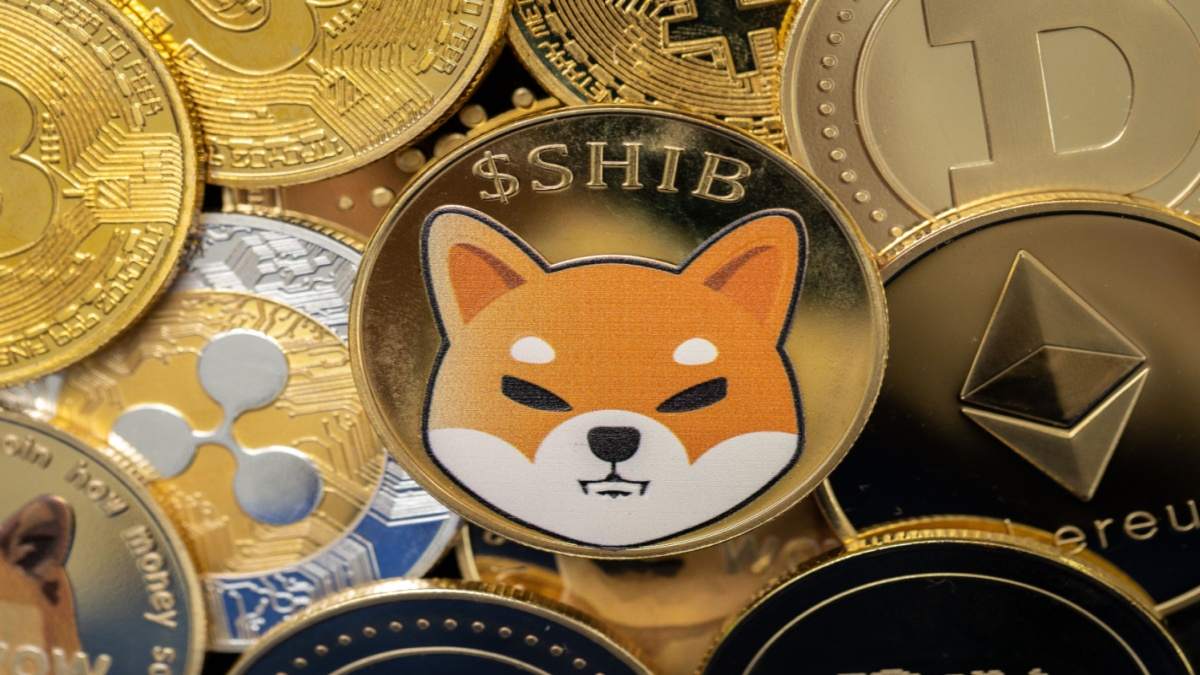 Shiba Inu готовится к ралли по мере роста числа аккаунтов в Shibarium | Сетка — социальная сеть от hh.ru