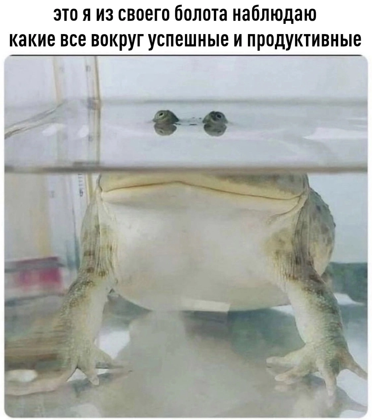 #мемдня
Разрешаю тебе быть непродуктивным, неуспешным и спокойным. | Сетка — социальная сеть от hh.ru