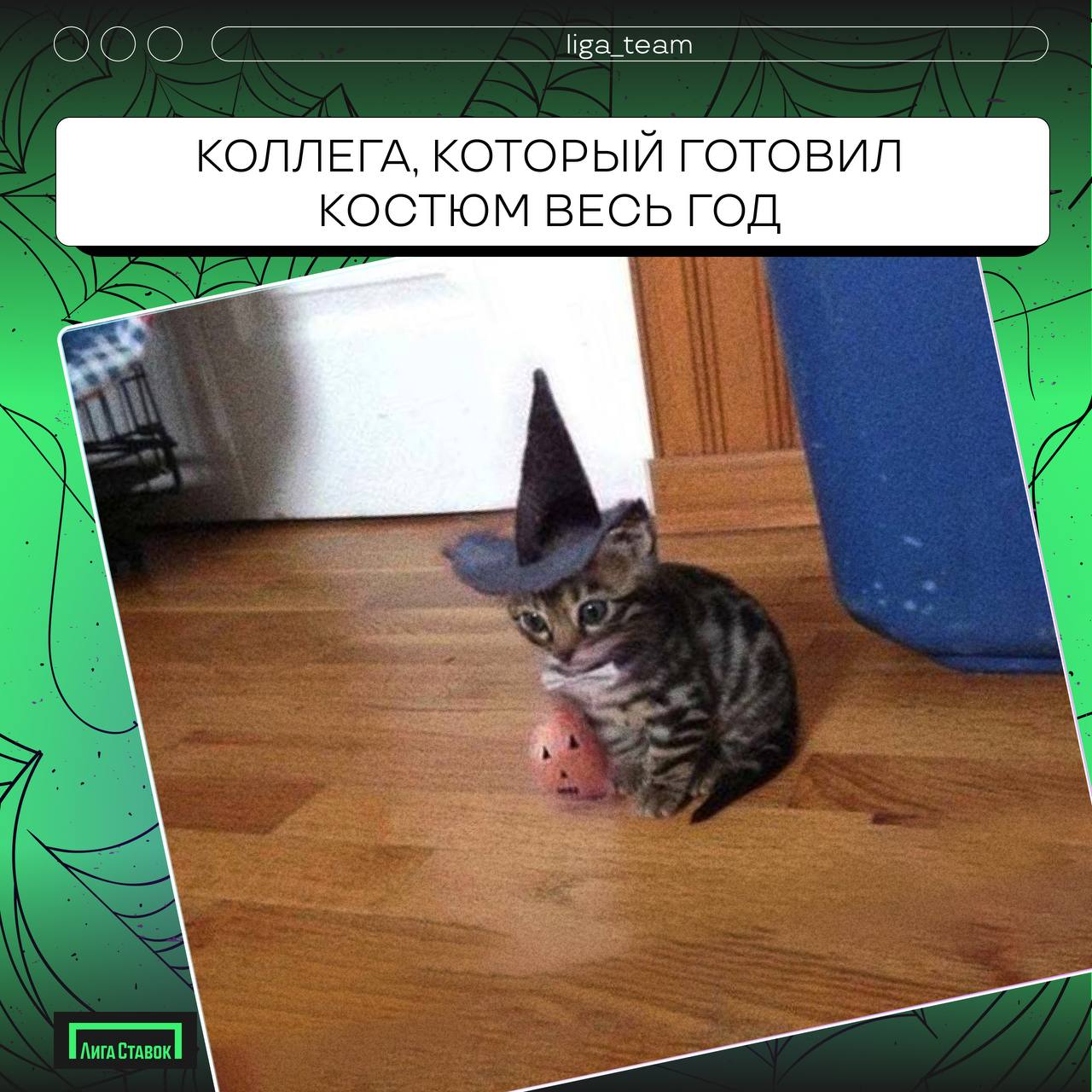 Бу! Страшно?!🎃
Хэллоуин отгремел, время делиться своими нарядами!
В карточках предложили свои варианты, а если у вас были образы круче, делитесь в комментариях 👻 
#ЛигаСтавок #хеллоуин #работавкоманде | Сетка — социальная сеть от hh.ru