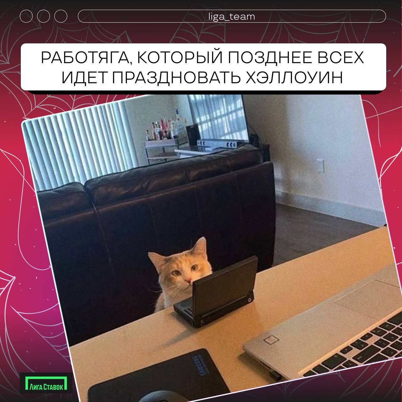 Бу! Страшно?!🎃
Хэллоуин отгремел, время делиться своими нарядами!
В карточках предложили свои варианты, а если у вас были образы круче, делитесь в комментариях 👻 
#ЛигаСтавок #хеллоуин #работавкоманде | Сетка — социальная сеть от hh.ru