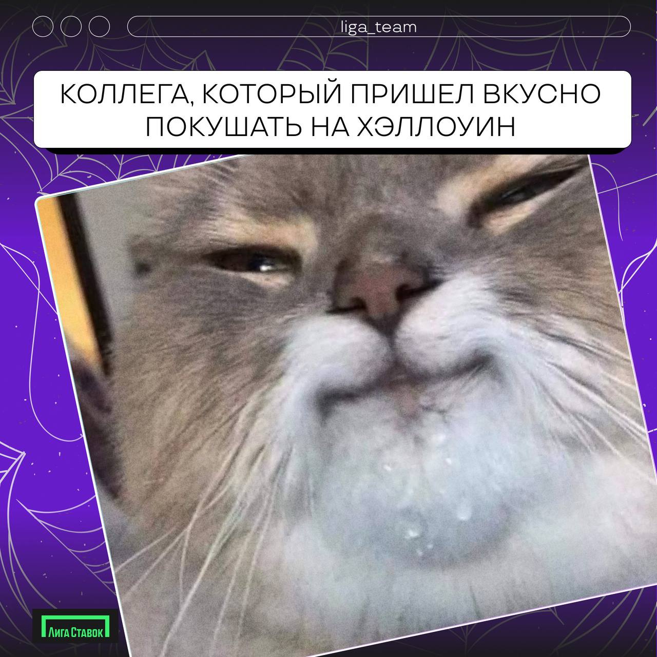 Бу! Страшно?!🎃
Хэллоуин отгремел, время делиться своими нарядами!
В карточках предложили свои варианты, а если у вас были образы круче, делитесь в комментариях 👻 
#ЛигаСтавок #хеллоуин #работавкоманде | Сетка — социальная сеть от hh.ru