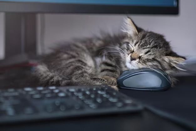 Сегодня отмечается День отказа от своих обязанностей (Give Up Your Shoulds Day).
Отлично, есть официальная причина не работать. | Сетка — социальная сеть от hh.ru