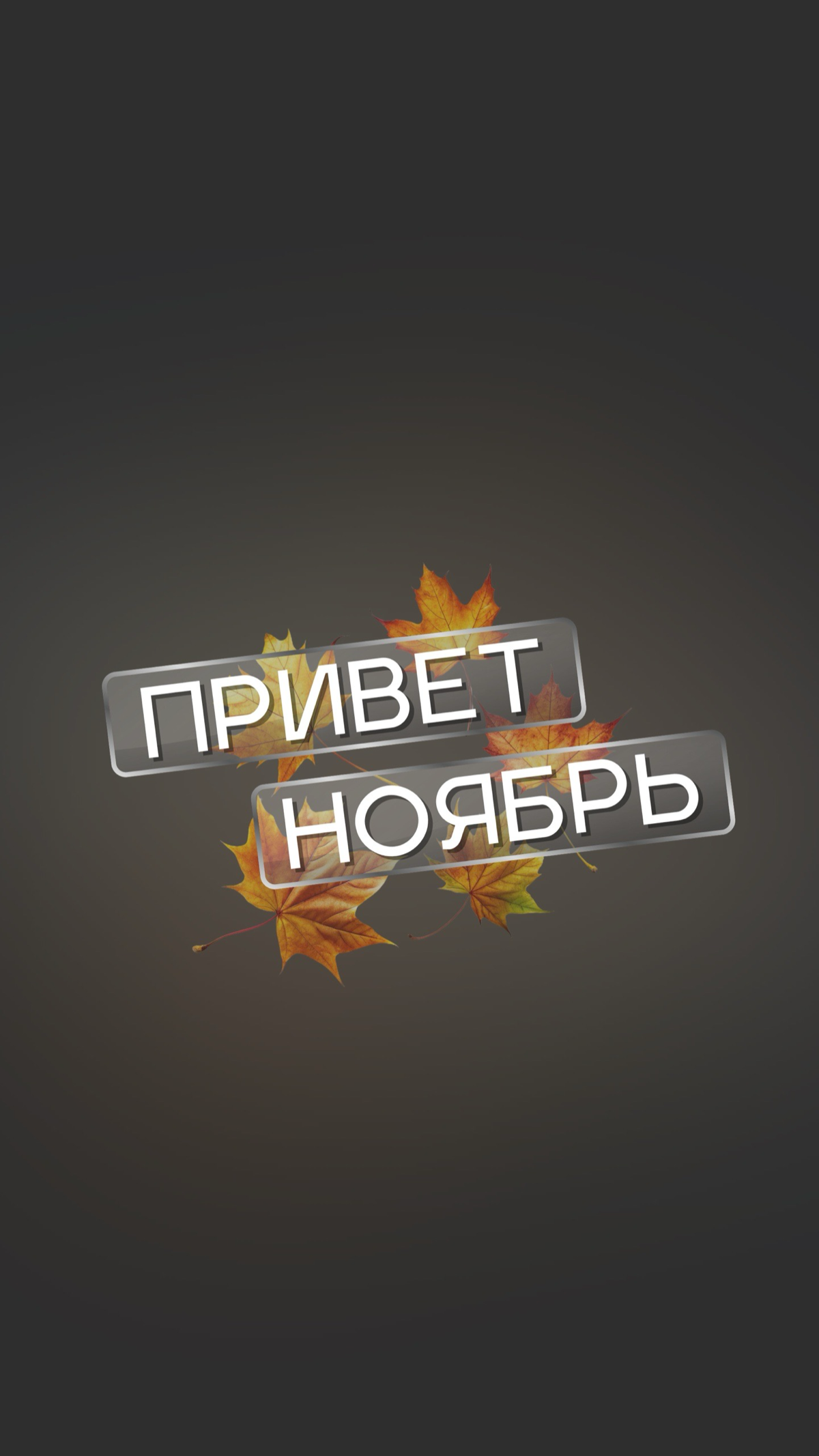 Всем прекрасного денежного ноября🫶 | Сетка — социальная сеть от hh.ru