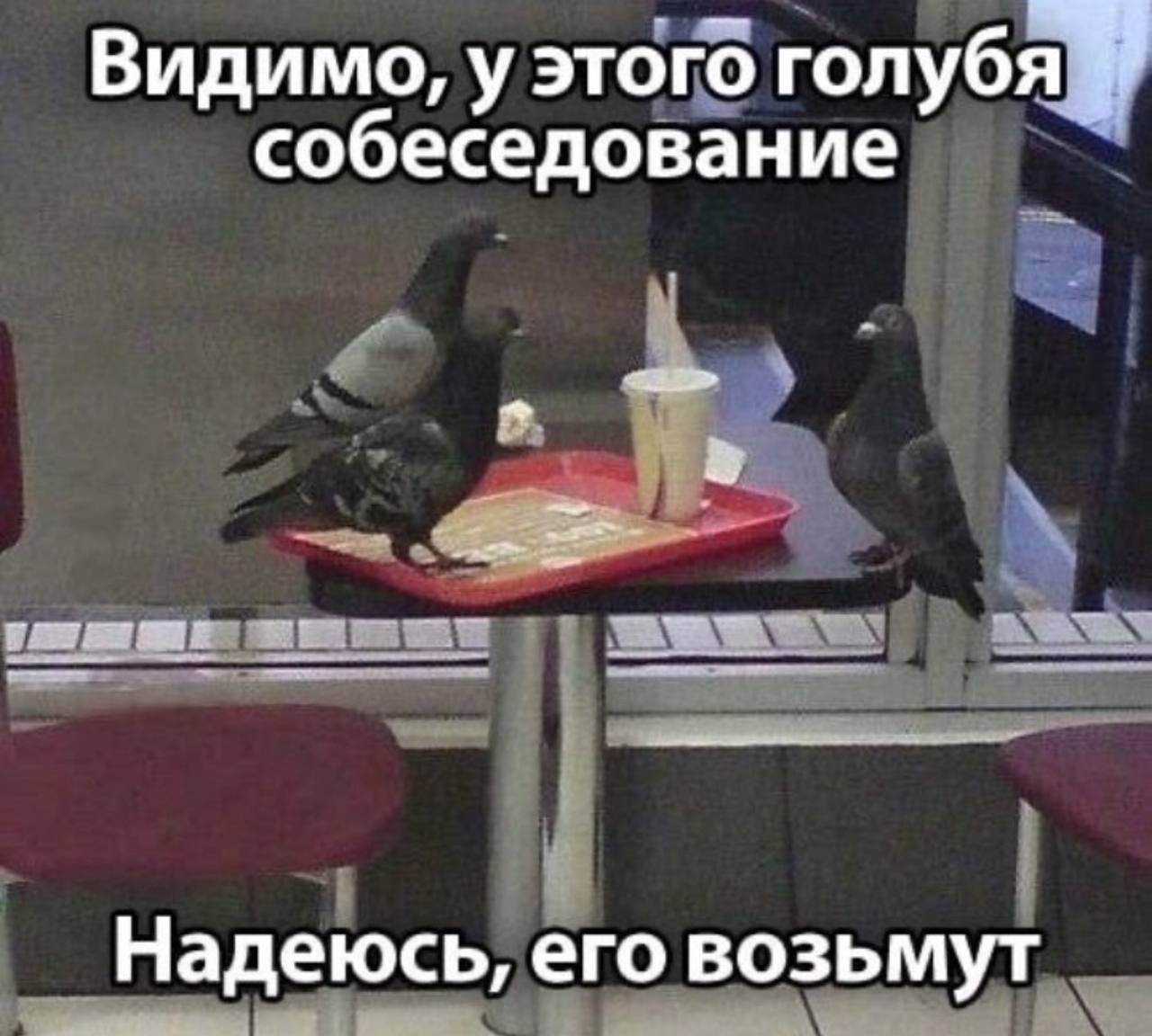 Собрали все посты недели в один: 
➡️ востребованные навыки на рынке труда США
➡️ как правильно собирать рекомендации?
➡️ North America’s top tech talent hubs
➡️ новости рынка труда 
➡️ кейс с программ... | Сетка — социальная сеть от hh.ru