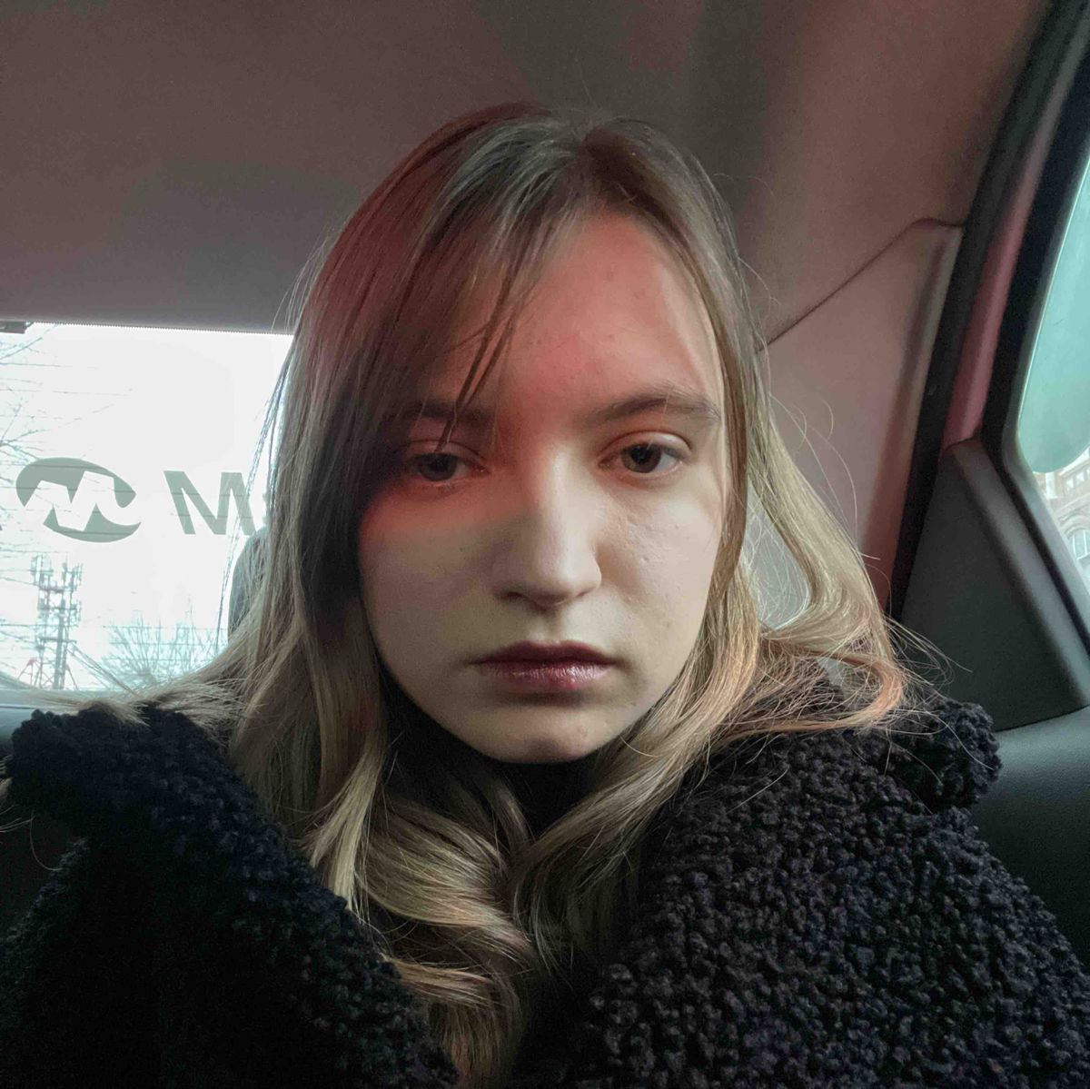 Светлана Михайлова