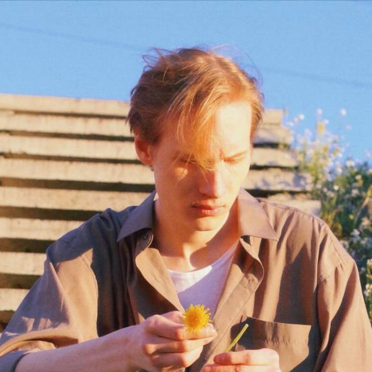 Ярослав Сабельников | Сетка — социальная сеть от hh.ru