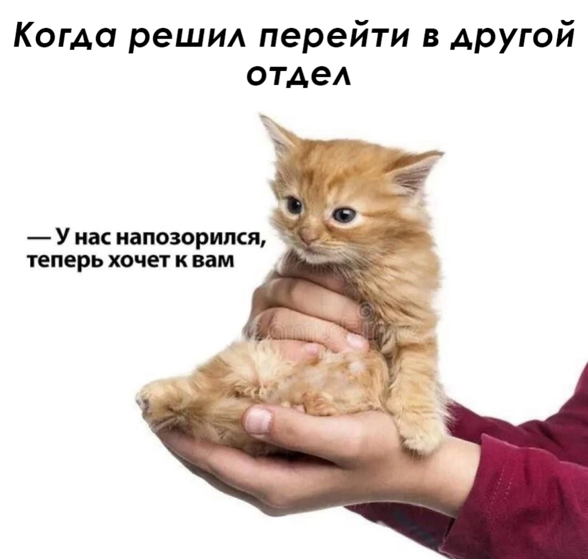 Я после работы в онлайн-школе, барбершопе и Adidas пришла в дизайн) | Сетка — социальная сеть от hh.ru