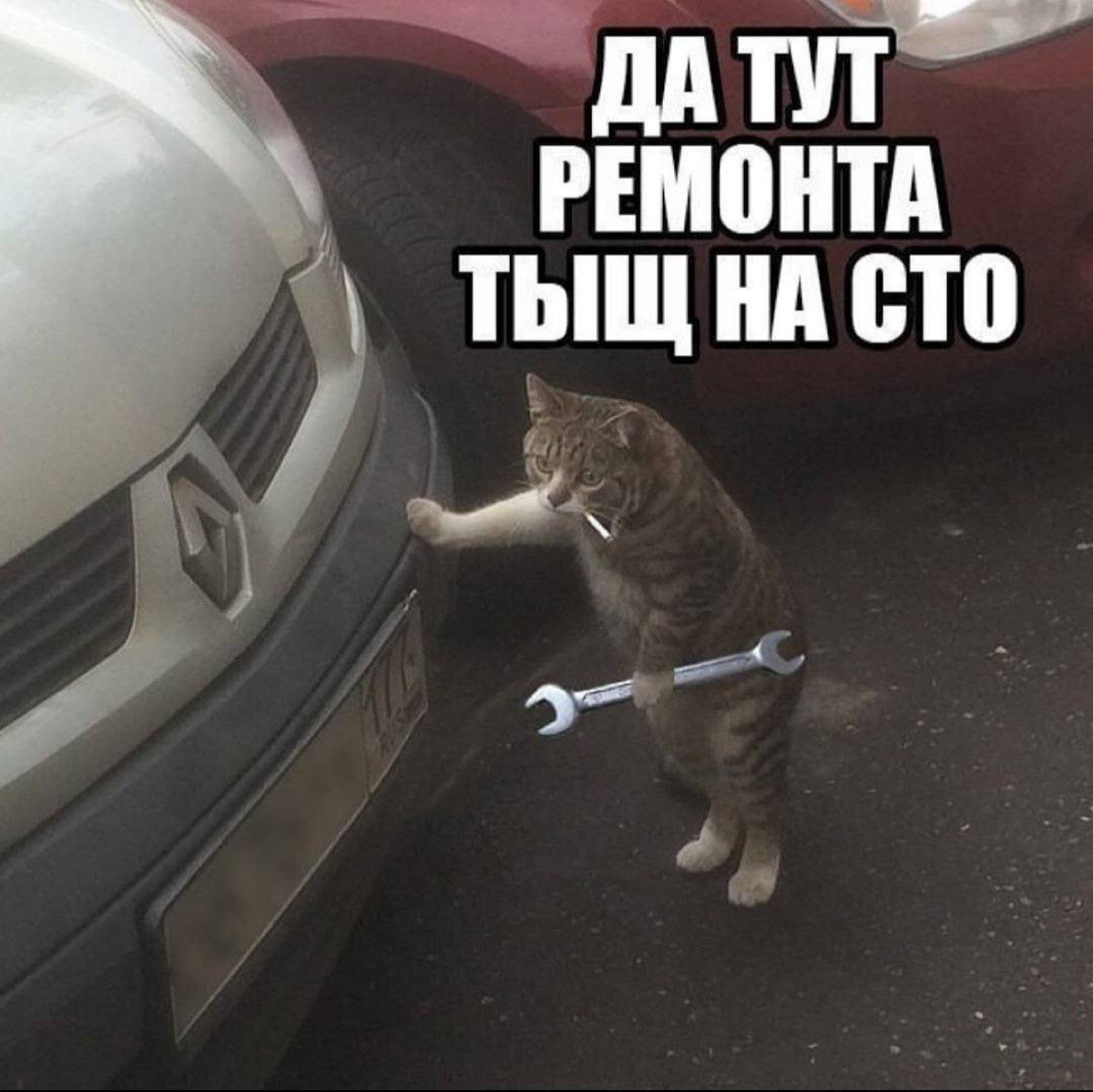 Минутка юмора 😄
Когда пришел к психологу с запросом «вроде все нормально, но что-то мне грустно» | Сетка — социальная сеть от hh.ru