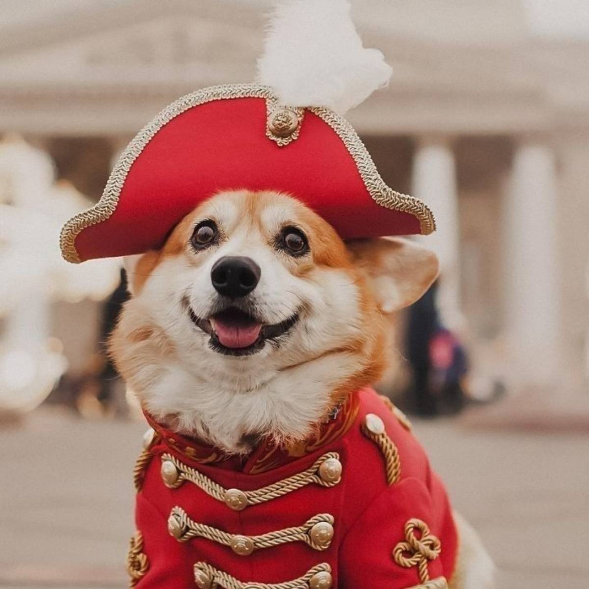 Елизавета Горностай