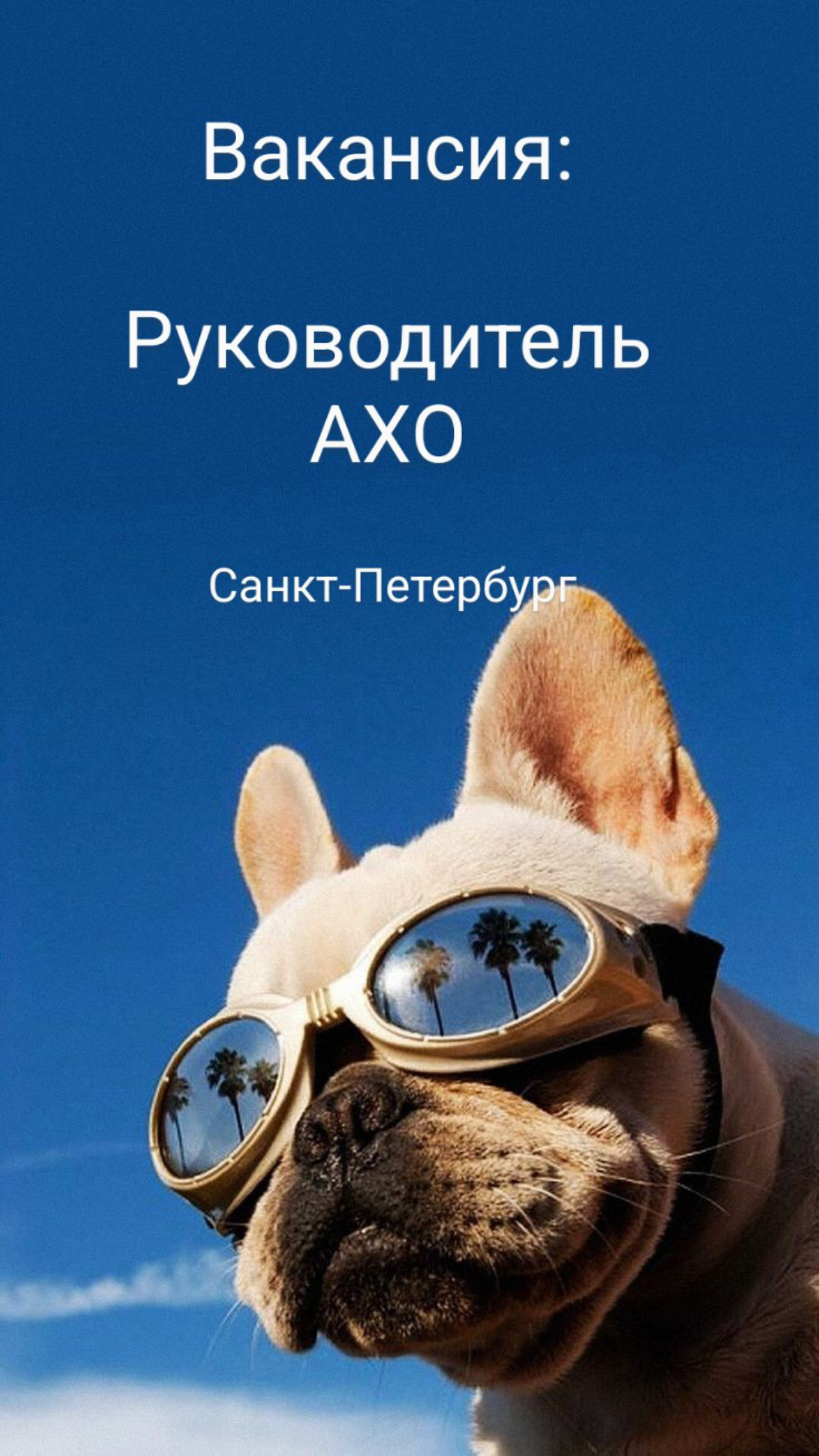#ВАКАНСИЯ №1552
Руководитель АХО
📍Санкт-Петербург
Обязанности:
• Контроль качества услуг, предоставляемых клининговыми компаниями | Сетка — социальная сеть от hh.ru