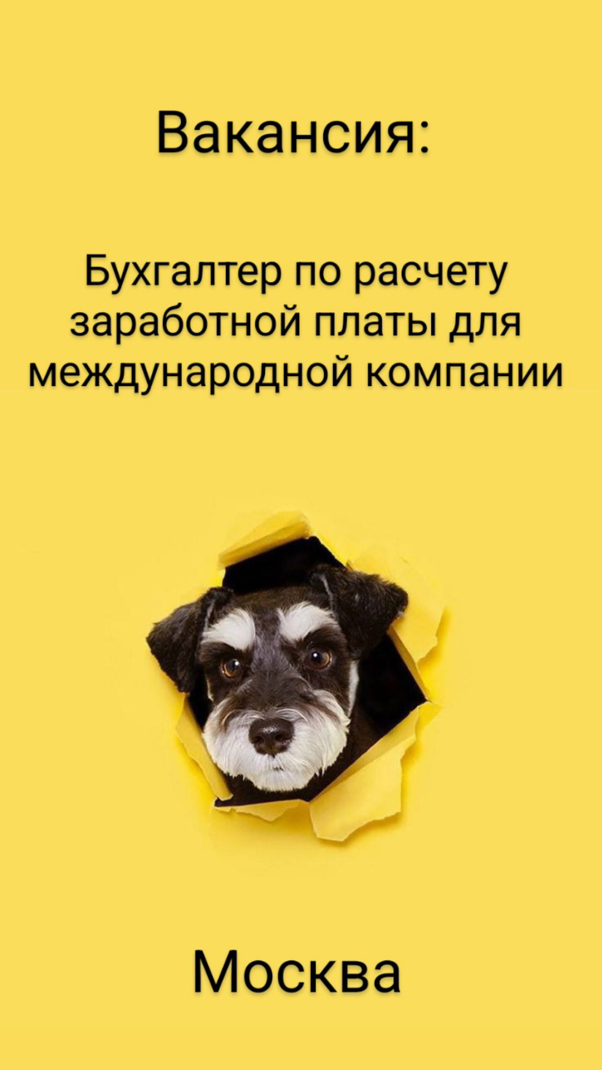 #ВАКАНСИЯ №1553 
 
Бухгалтер по расчету заработной платы для международной компании 
 
📍Москва 
 
Обязанности: 
 
• Расчет и начисление заработной платы для сотрудников (до 500 человек, есть напарник)... | Сетка — социальная сеть от hh.ru