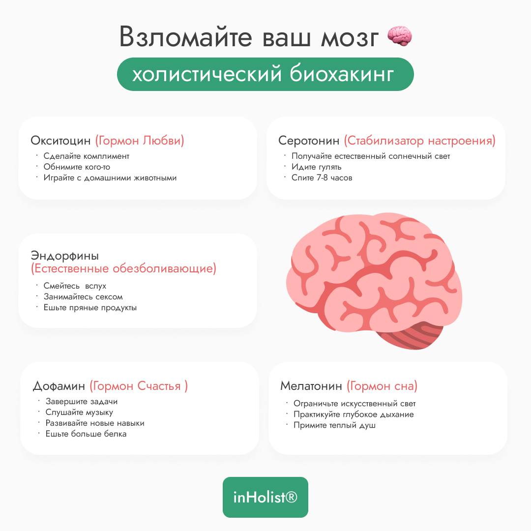 Хотите стать более счастливым, спокойным и сфокусированным? Вопрос заключается в том, как воспользоваться природными химическими веществами вашего мозга!
Каждый из этих «гормонов хорошего самочувствия... | Сетка — социальная сеть от hh.ru