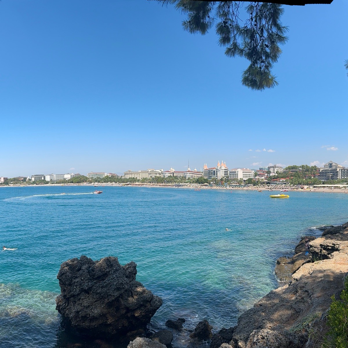 Виктория Завожена | Сетка — социальная сеть от hh.ru