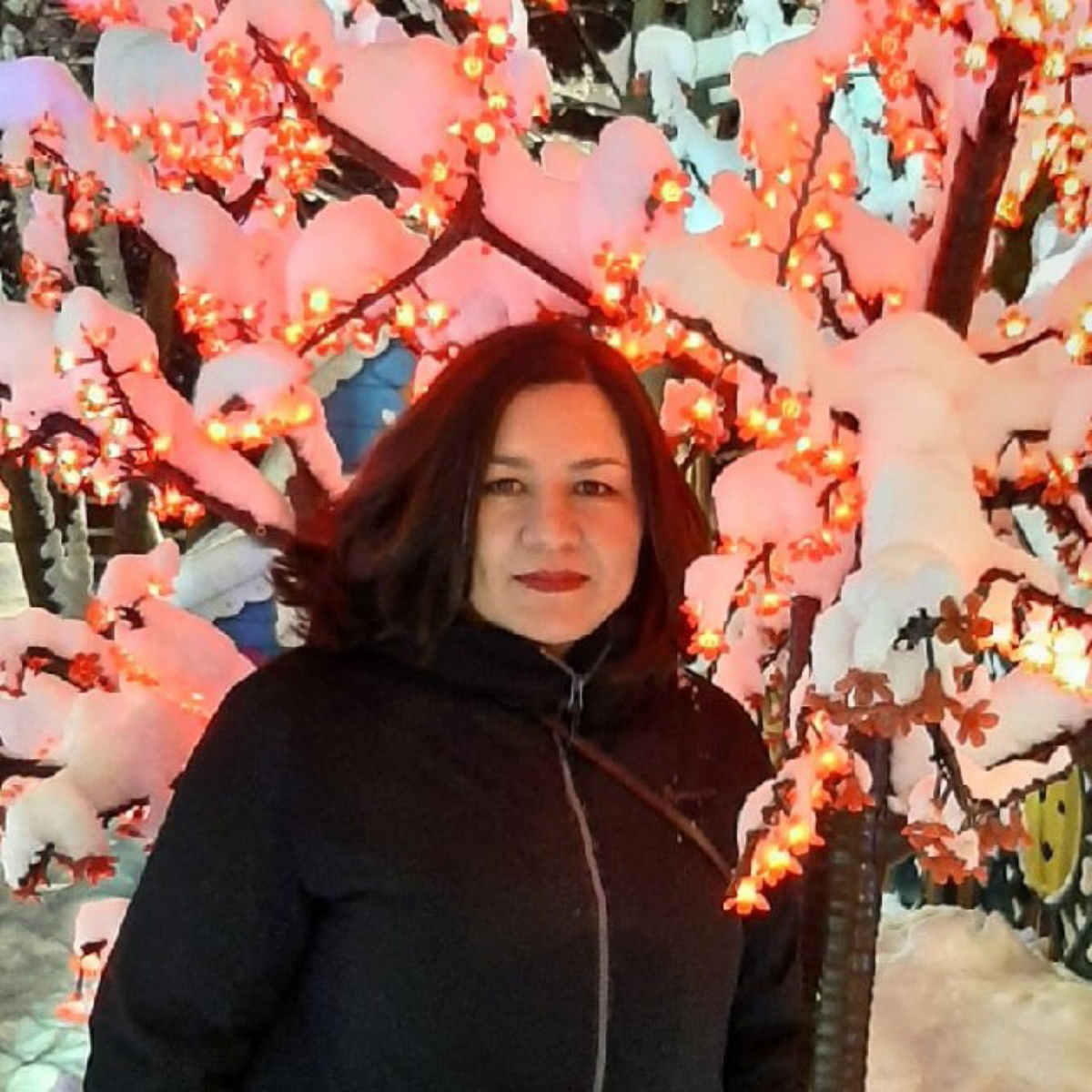 Анастасия Алексеева | Сетка — социальная сеть от hh.ru