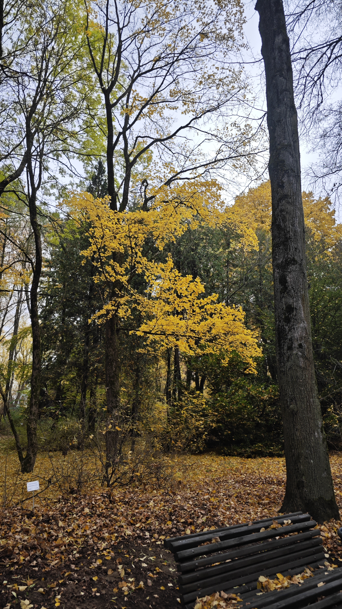 Иногда нужно отдохнуть | Сетка — социальная сеть от hh.ru