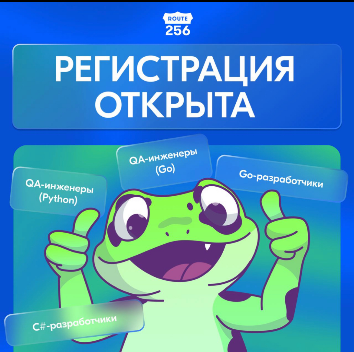 В ленте попадались вопросы как попасть на стажировки на Go или перейти на Go с других языков. Я отвечал, что есть курсы от компании Озон | Сетка — социальная сеть от hh.ru