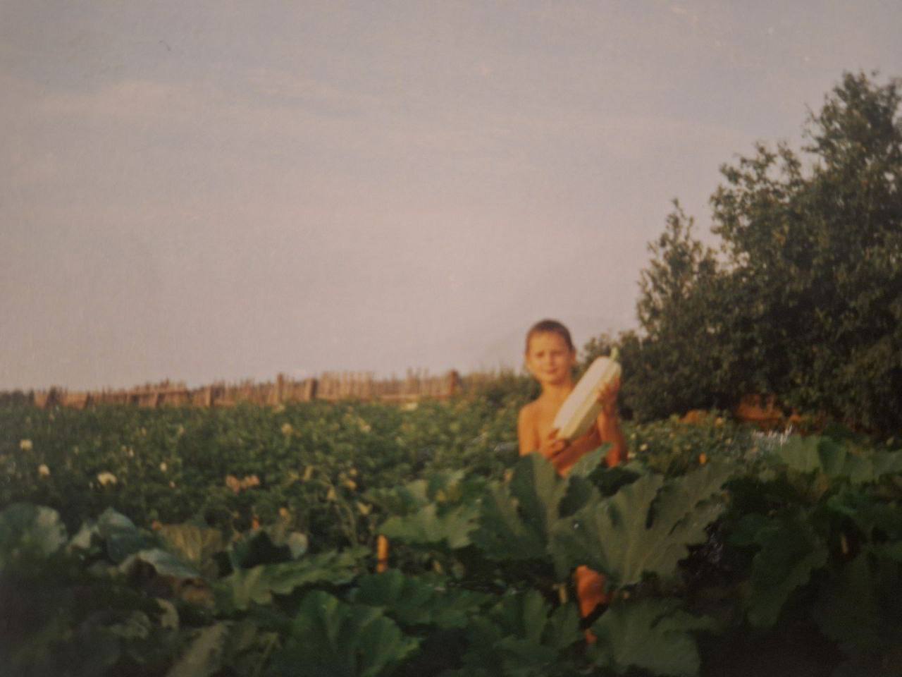 Как получать много денег и мало работать. Прилетело из теста на самооценку. И так это во мне включил неожиданно в воспоминания и рассуждения | Сетка — социальная сеть от hh.ru