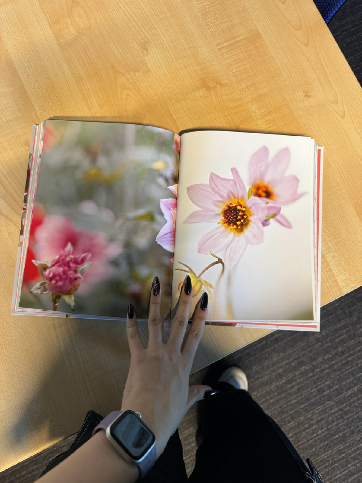Мем дня
Коллеге привезли новоотпечатанные книги со склада. Типография совершила ошибку: не в том порядке вклеила тетрадки в книге. Проще говоря, страницы идут в неправильном порядке | Сетка — социальная сеть от hh.ru