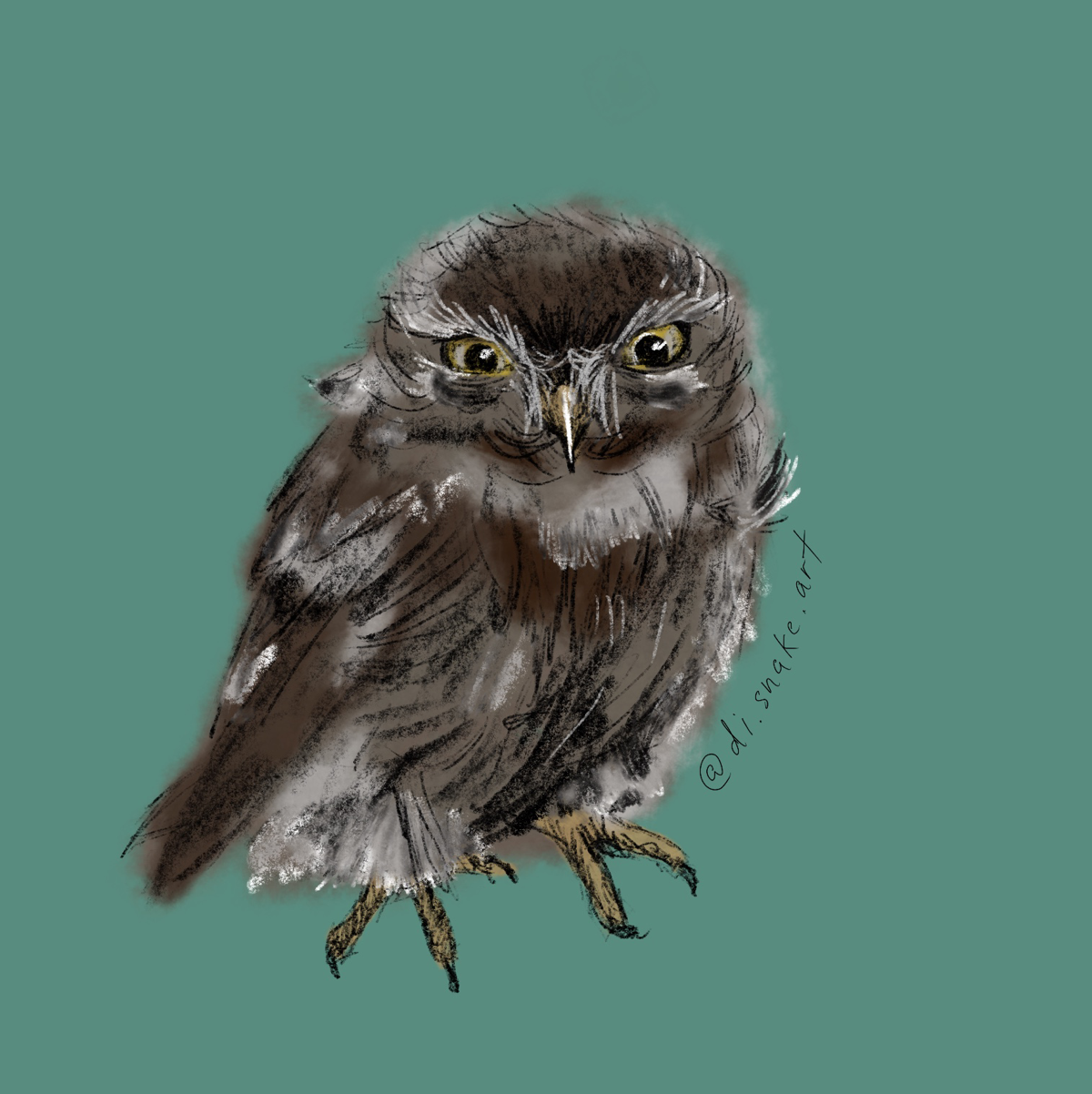 Несколько вариантов изображения сов
#арт #art #2d #иллюстратор #рисунок #procreate | Сетка — социальная сеть от hh.ru