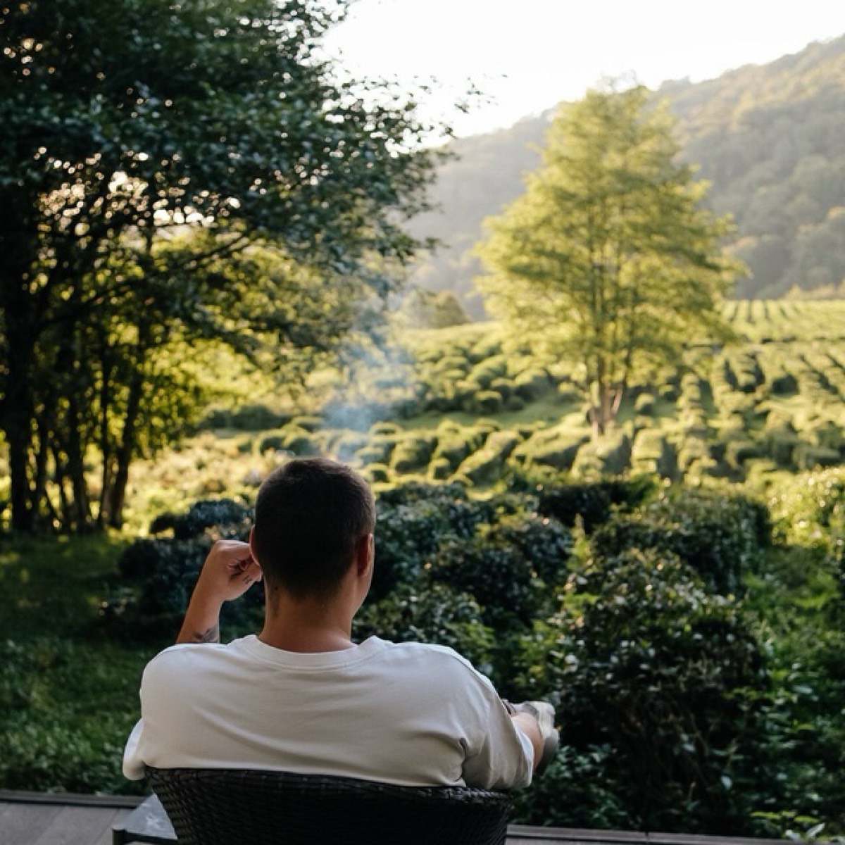 Александр Ролетнев | Сетка — социальная сеть от hh.ru