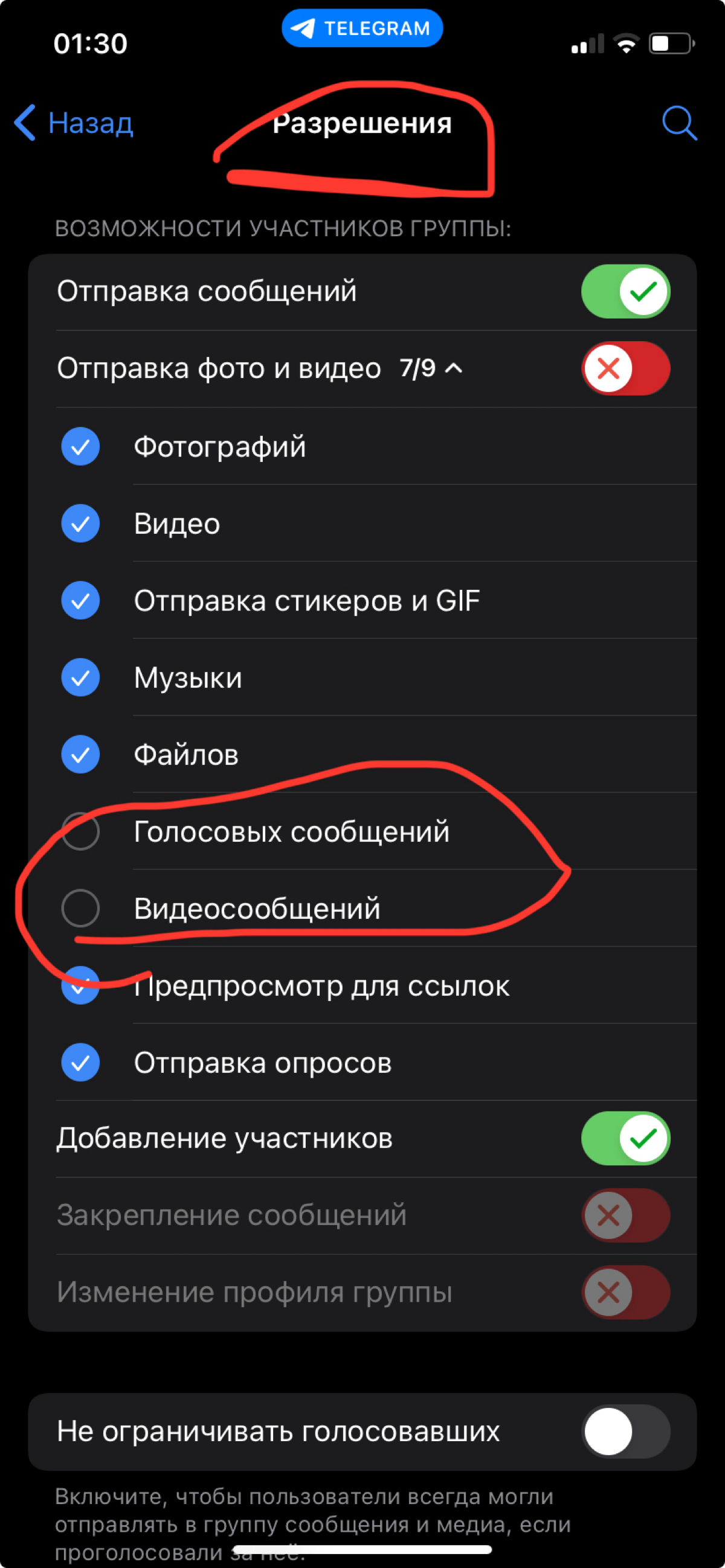 Спамботы — спонсоры запрета голосовух и кружочков в телеге | Сетка — социальная сеть от hh.ru