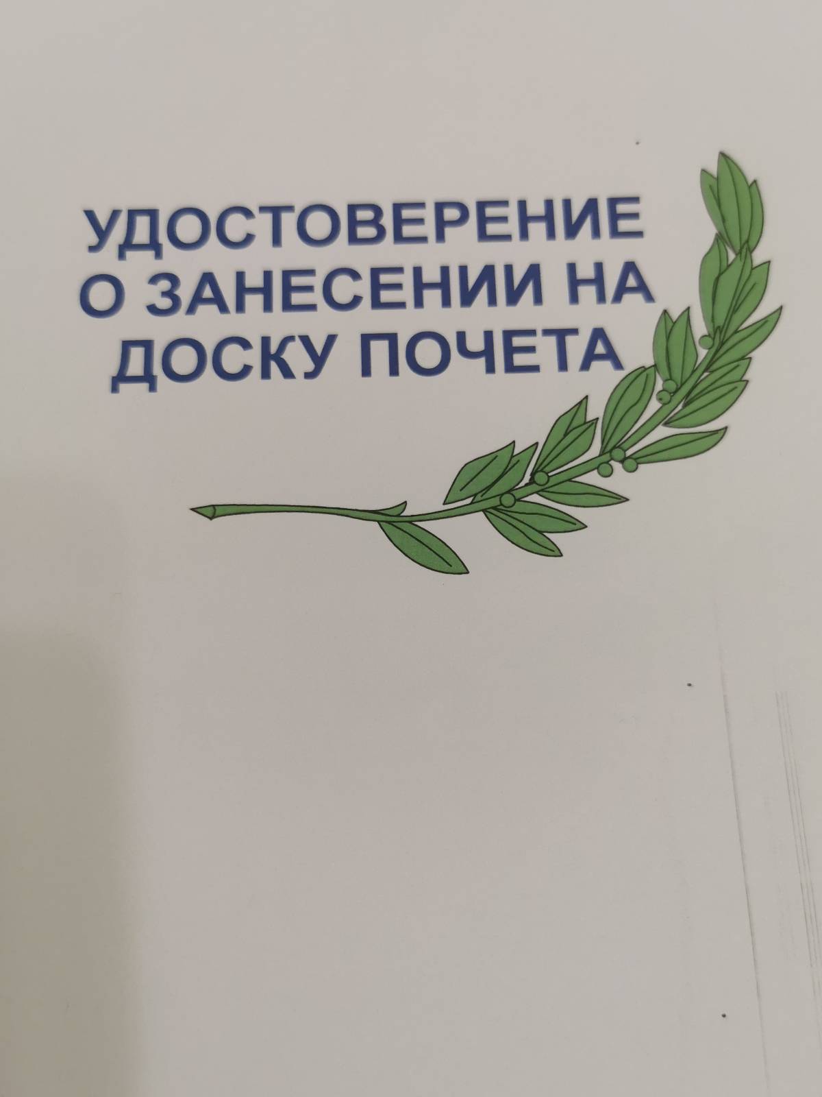 Расима Лазарева | Сетка — социальная сеть от hh.ru