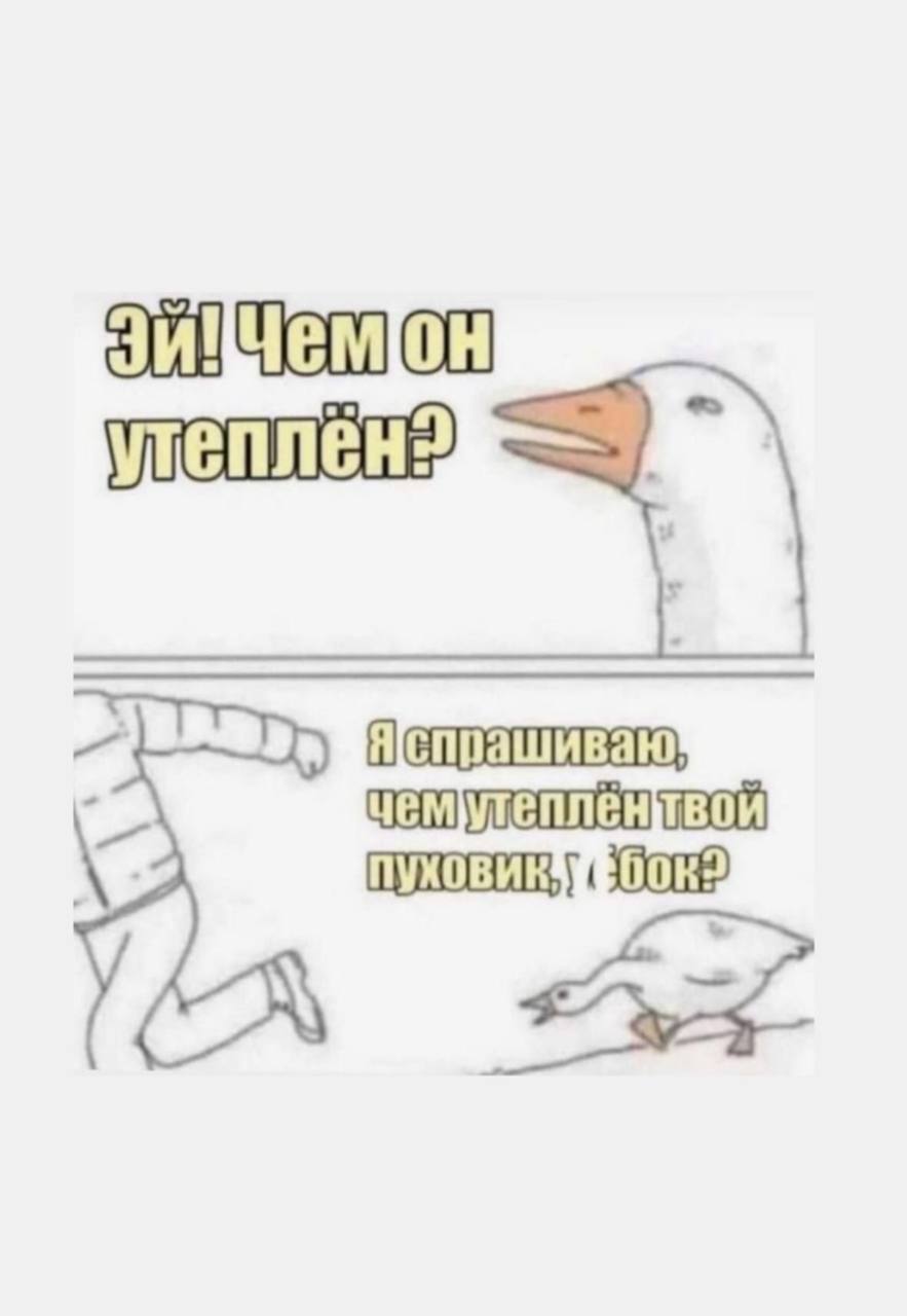У нас вчера снег в Питере выпал.
Но уже растаял.
А ваши как дела? | Сетка — социальная сеть от hh.ru