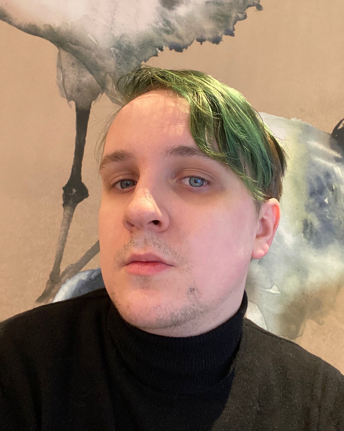 Network member avatar