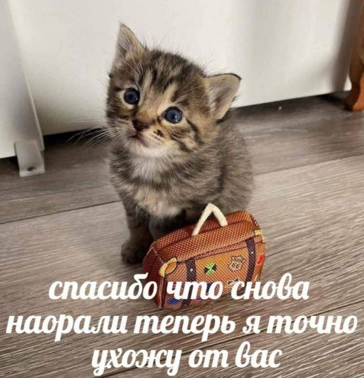 Инструкция по выживанию: какими должны быть правила коммуникации в компании?
Под прошлым постом про разницу поколений в офисе был коммент, мол, правила внутри компании должны «буферизировать» разницу ... | Сетка — социальная сеть от hh.ru
