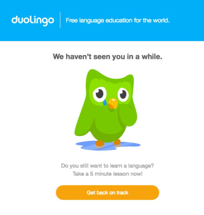 Прочитала исследование Принстонского университета (2019 год). Эксперты просканировали более 11 000 сайтов e-comm и обнаружили 1818 примеров темных паттернов на 11% сайтов | Сетка — социальная сеть от hh.ru