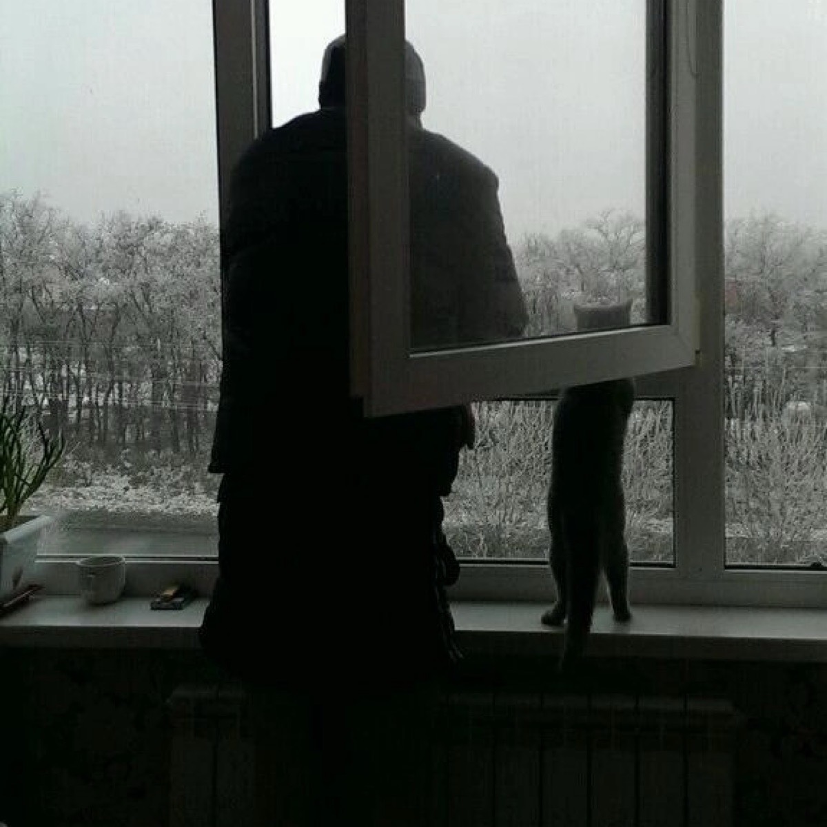 Андрей Иванов