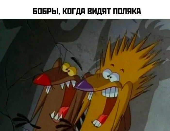 O kurwa | Сетка — социальная сеть от hh.ru