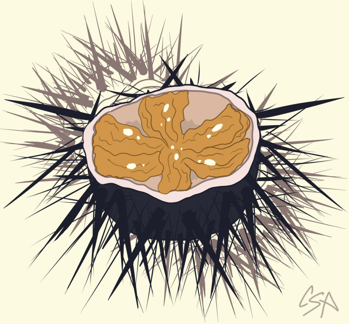 #NomNomNovember | Сетка — социальная сеть от hh.ru