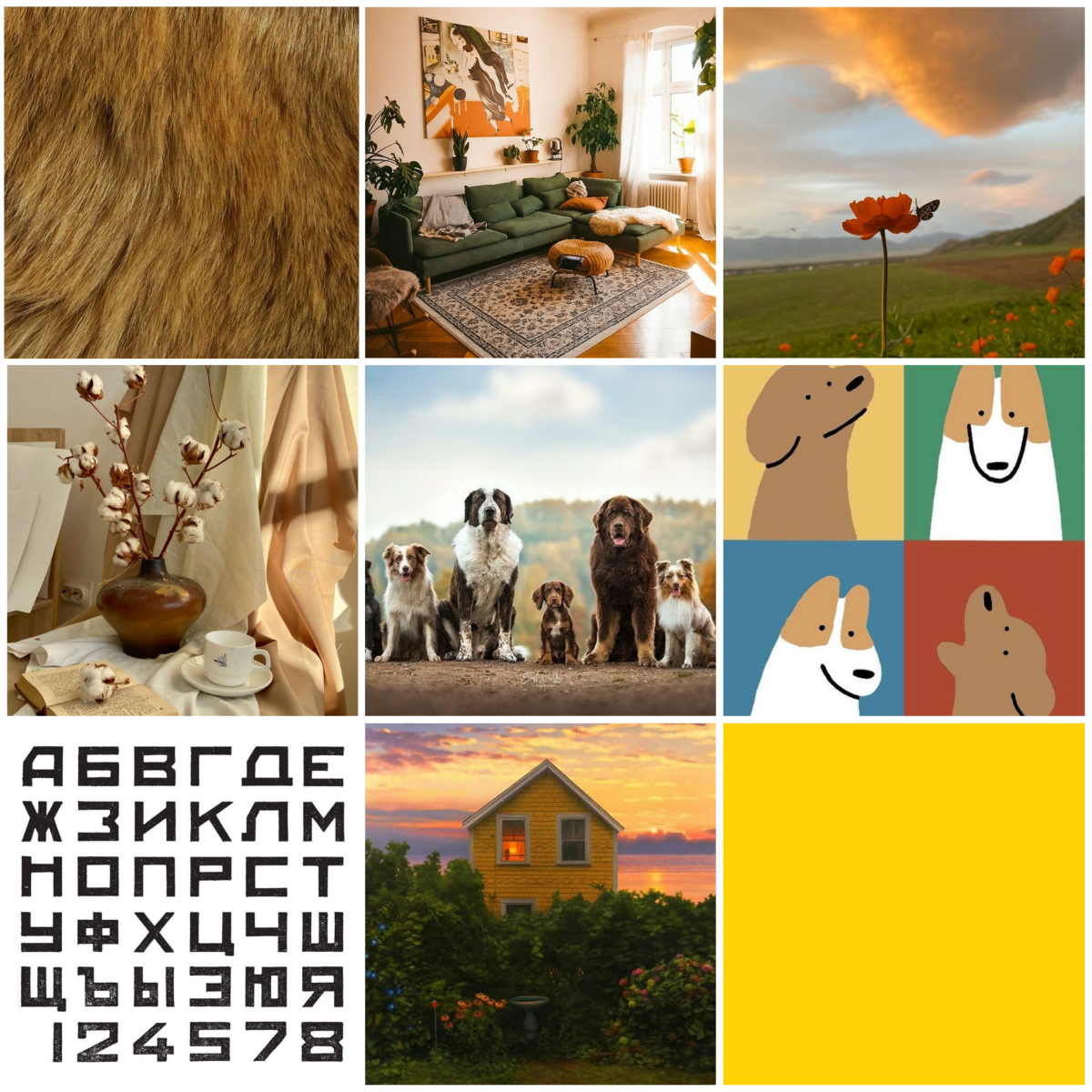 #раскадровка #мудборд #графическийдизайн
Раскадровка для передачи.  
Концепт:
Передача "Хочу домой" посвящена бездомным собакам которые ищут свой дом и своего хозяина | Сетка — социальная сеть от hh.ru