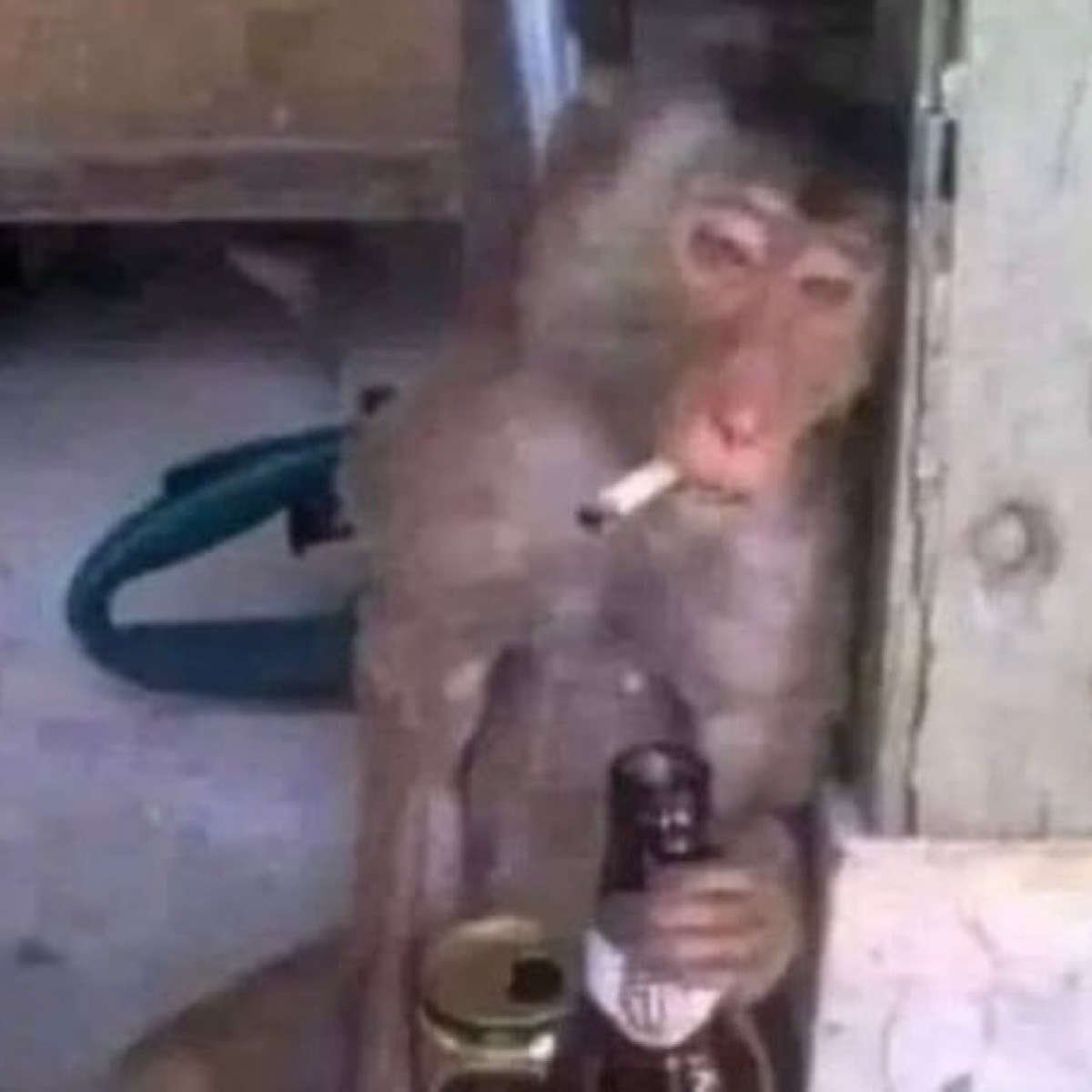 Имя Фамилия