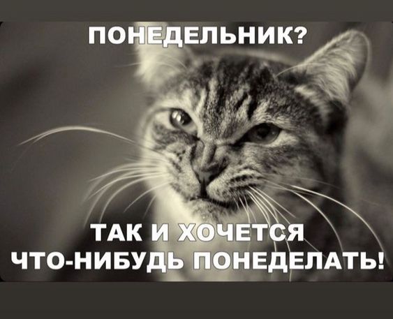 У кого сегодня такое же настроение? С вас ❤️ 😁
Белый Коммерс: секреты продаж | Сетка — социальная сеть от hh.ru